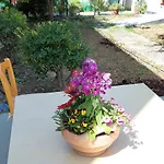 Sonia Cyclamen بيت للعطل خانيا