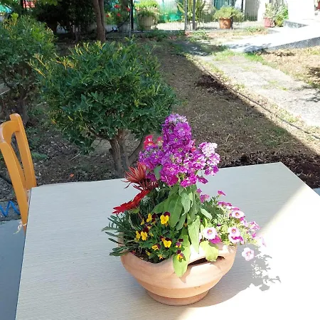 Sonia Cyclamen Hébergement de vacances La Canée