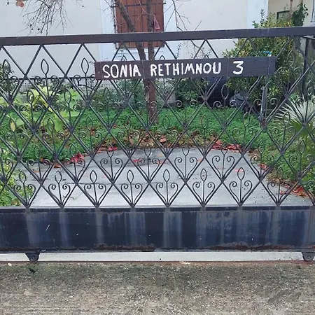 Sonia Cyclamen *