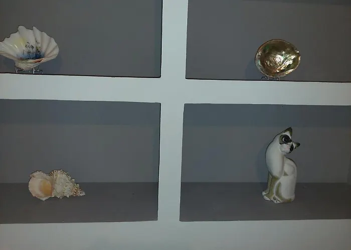 Sonia Cyclamen * Χανιά