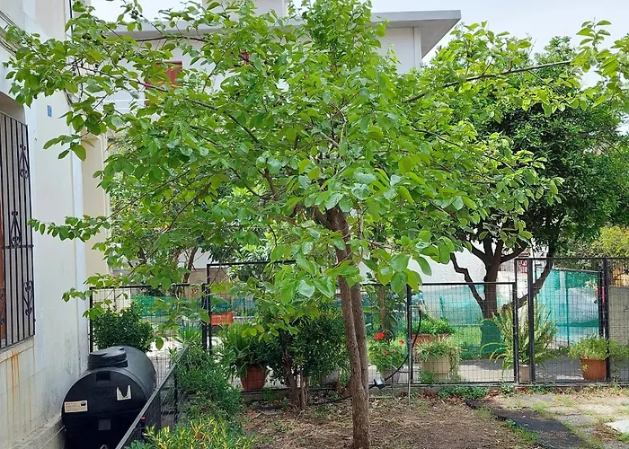 Σπίτι διακοπών Sonia Cyclamen *