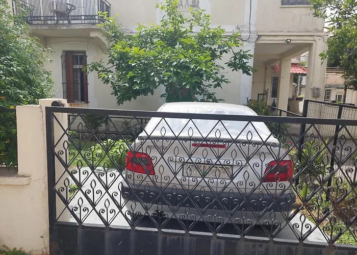 Sonia Cyclamen ハニア