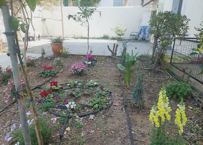 Σπίτι διακοπών Sonia Cyclamen